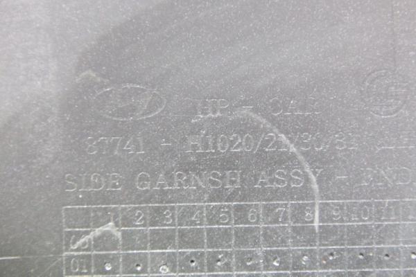 Kotflügel Verbreiterung 87741H1020 Hyundai TERRACAN