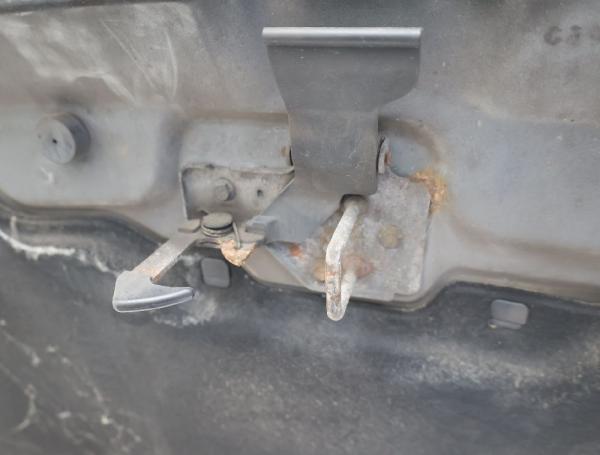 Motorhaube 7H0823033D VW T5 BUS