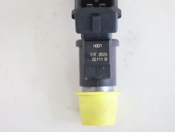 Einspritzventil 01F002A Citroen C2 JM