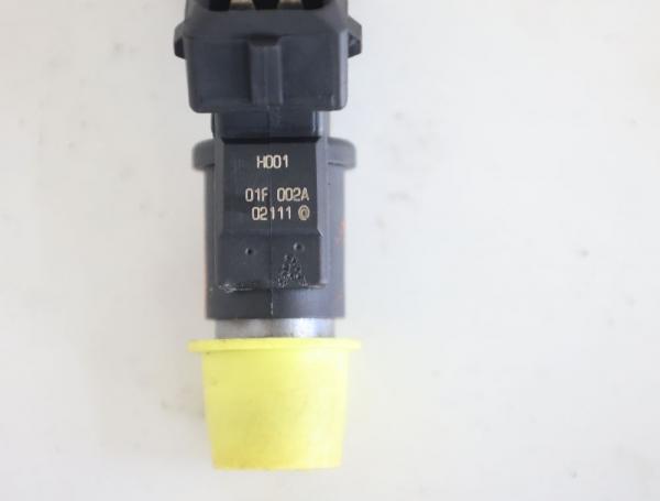 Einspritzventil 01F002A Citroen C2 JM