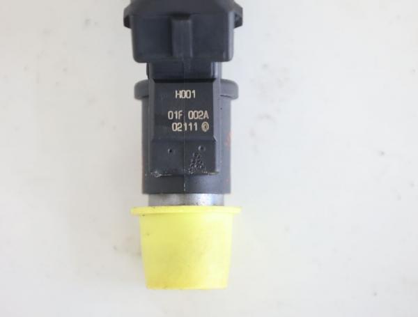 Einspritzventil 01F002A Citroen C2 JM