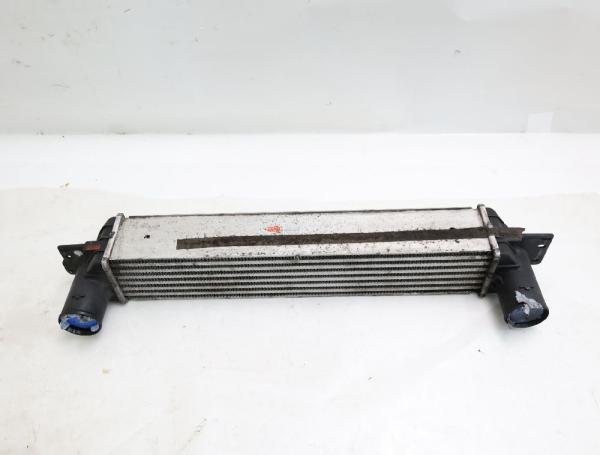Ladeluftkühler 96629070 Opel ANTARA