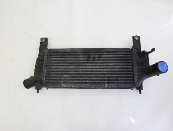 Ladeluftkühler 14461EB360 Nissan PATHFINDER R51