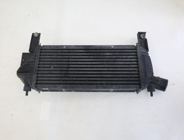 Ladeluftkühler 14461EB360 Nissan PATHFINDER R51