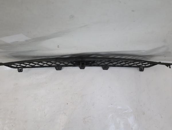 Frontgrill 6S618200ACW Ford FIESTA 5 JH