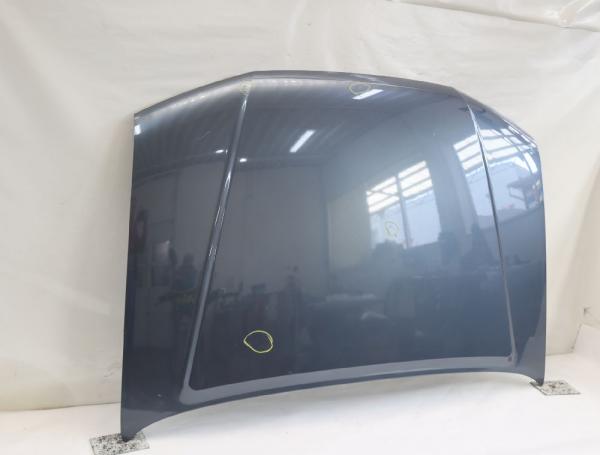 Motorhaube 65100EB330 Nissan PATHFINDER R51