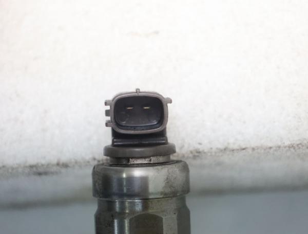 Einspritzduese (Diesel) Zylinder 4 16600EC00A Nissan PATHFINDER R51