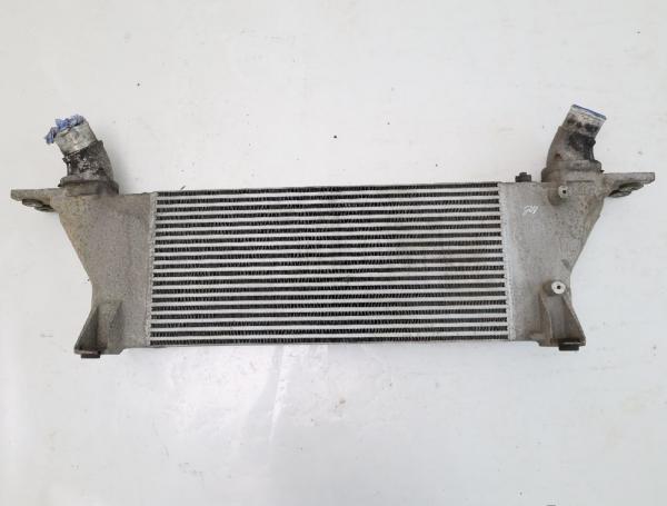 Ladeluftkühler 144615X20A Nissan NAVARA D40