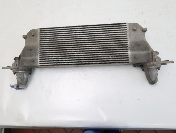 Ladeluftkühler 144615X20A Nissan NAVARA D40