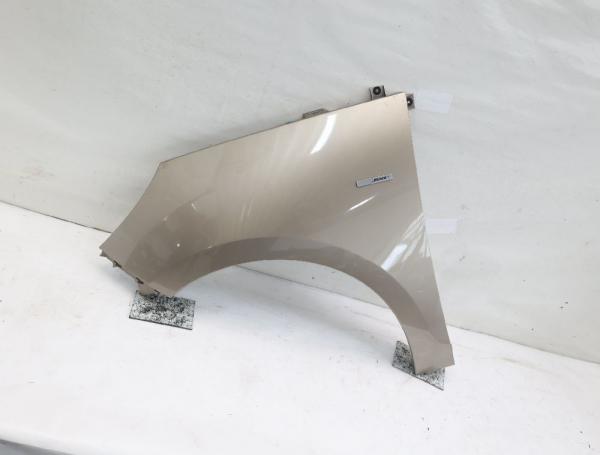 Kotflügel vorn links 631010075R Renault SCENIC 3 JZ
