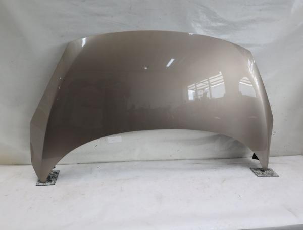 Motorhaube 651003439R Renault SCENIC 3 JZ