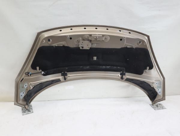 Motorhaube 651003439R Renault SCENIC 3 JZ
