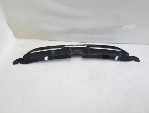 Frontgrill AM51R8200B Ford GRAND C-MAX