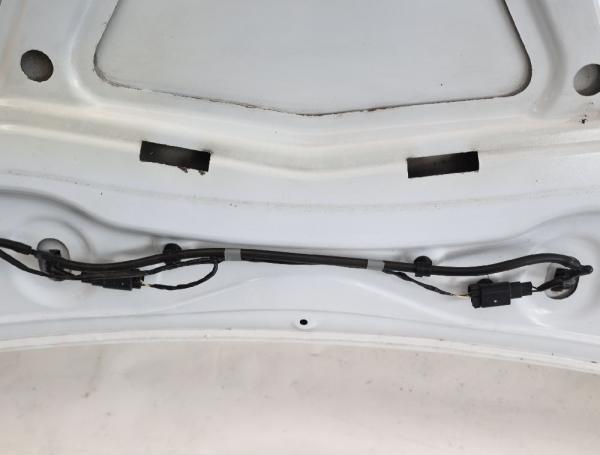Motorhaube 1815874 Ford GRAND C-MAX