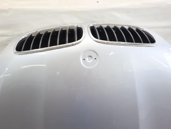 Motorhaube 7486754 BMW X6 E71