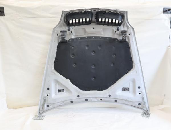 Motorhaube 7486754 BMW X6 E71