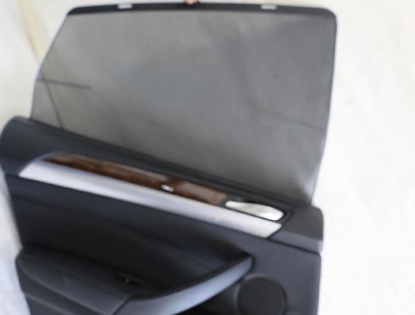 Türverkleidung innen 7244845 BMW X6 E71