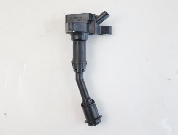 Zündspule Zylinder 4 DS7G12A366BB Ford KUGA 2 DM2