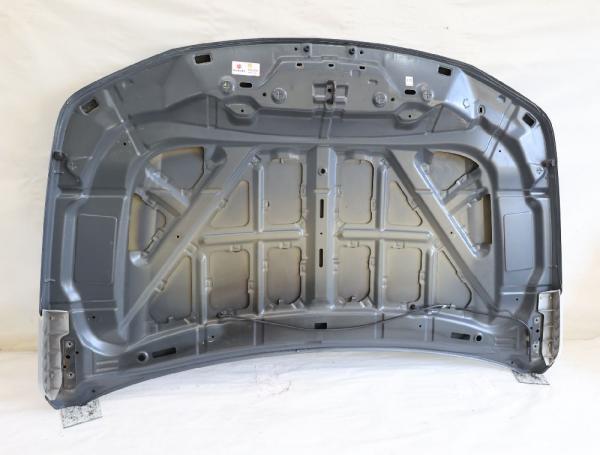 Motorhaube 5730065810 Suzuki GRAND VITARA 2